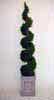 Wedding Rental - Spiral Cedar Topiary