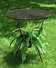 Bosten Ferns